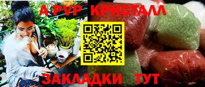 стаф Нальчик