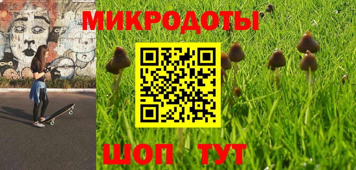 Торжок  Галлюциногенные грибы прущие грибы  Вход с VPN 
