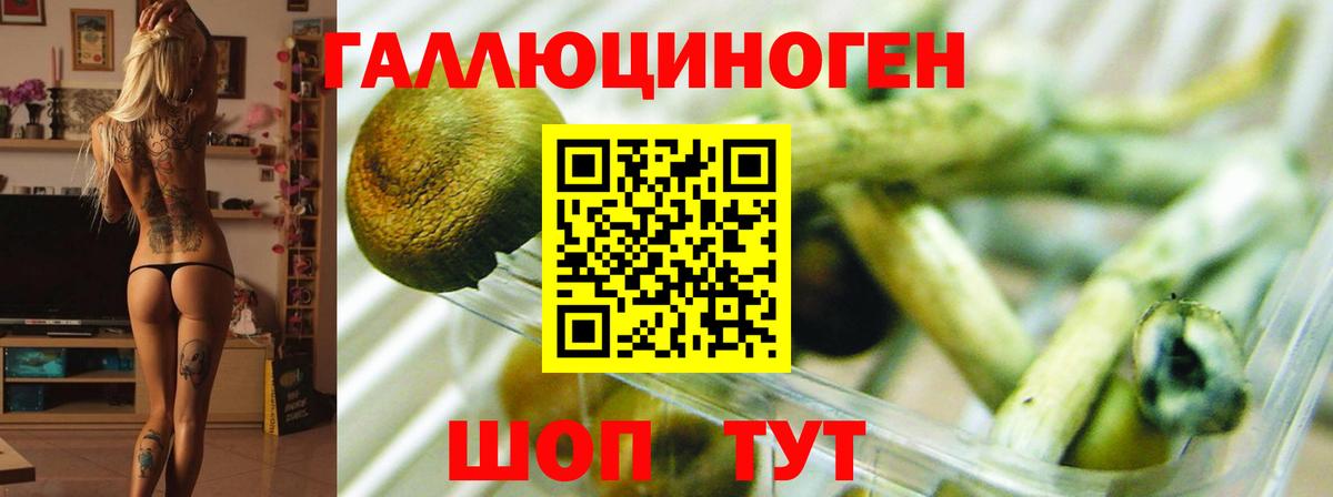 Галлюциногенные грибы GOLDEN TEACHER Торжок